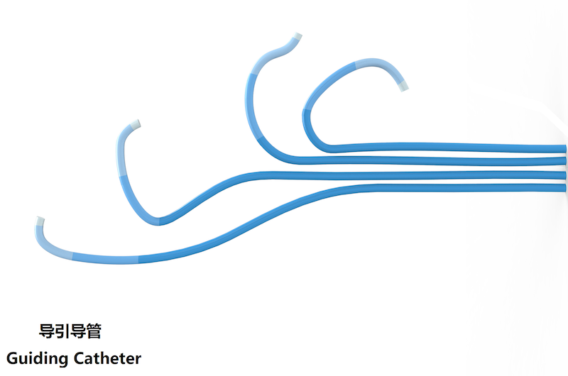 导引导管